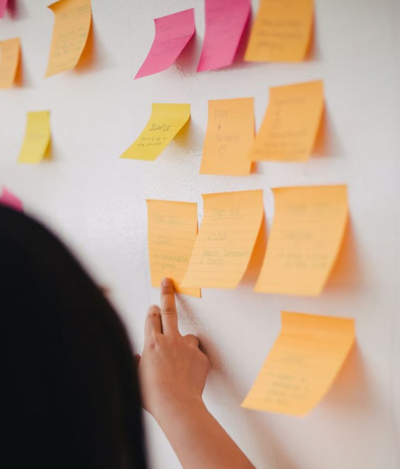 We have experience in project management